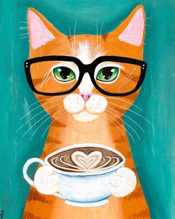 рисованные коты