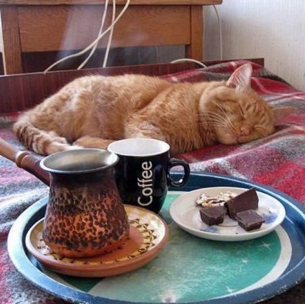 завтрак прикол