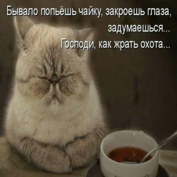 жрать охота