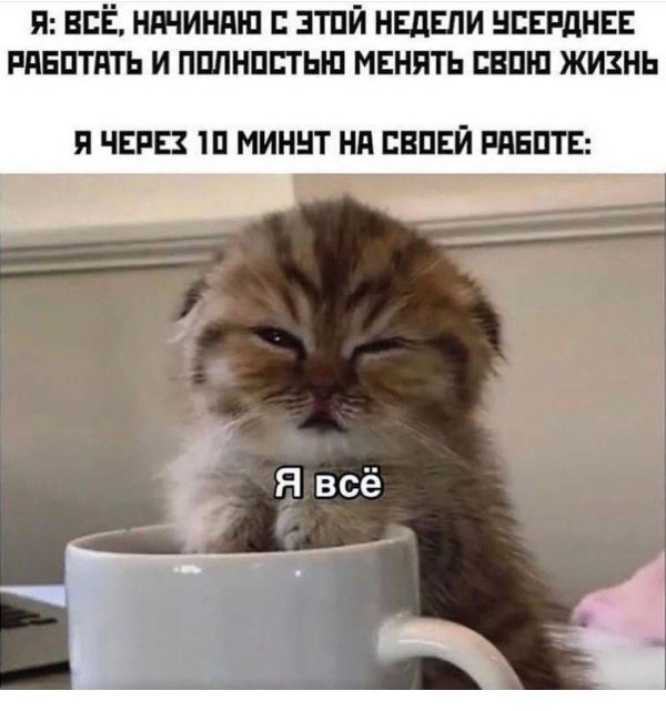 каждое утро