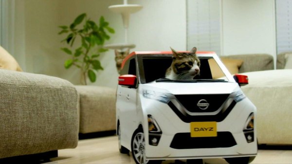 машина для кота