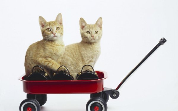 маленькая тележка