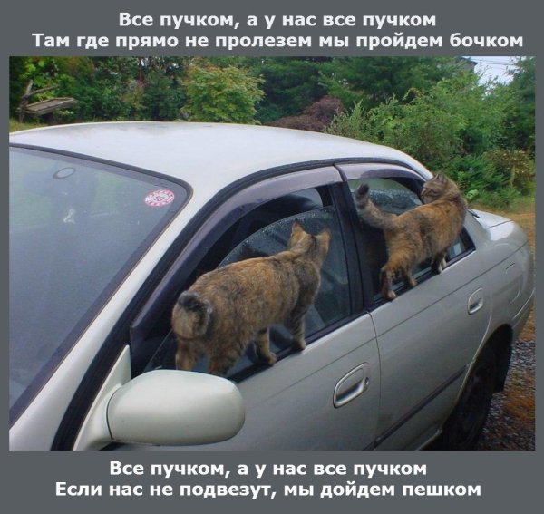 авто юмор