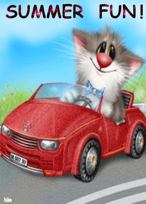 прикольные поздравления с днем водителя