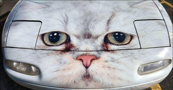 аэрография на машинах