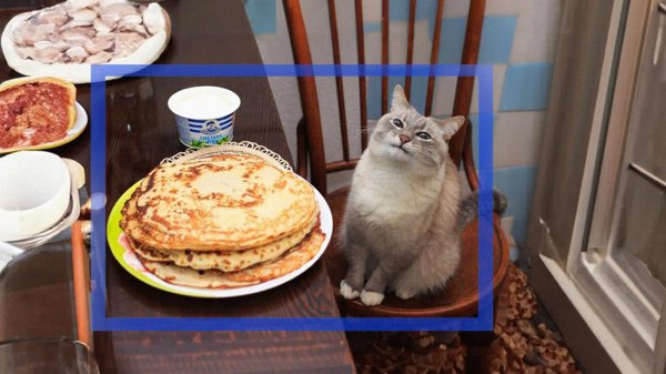 блины животные