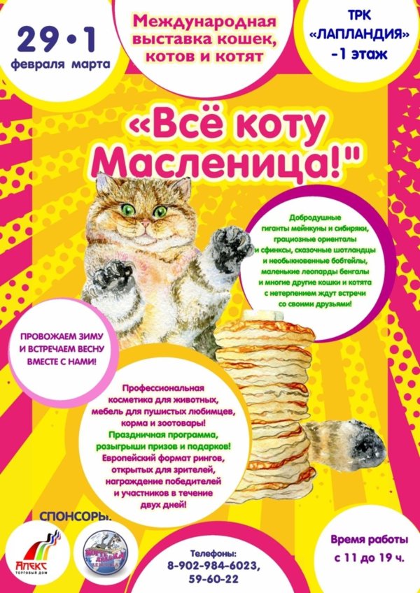 масленица выставка