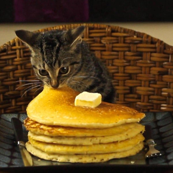 завтрак блинчики