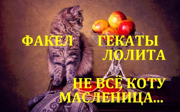 масленица коты