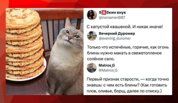 блин со сметаной