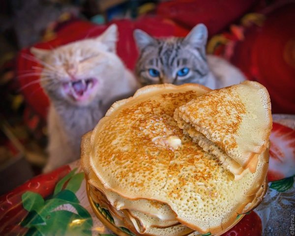 блины смешные