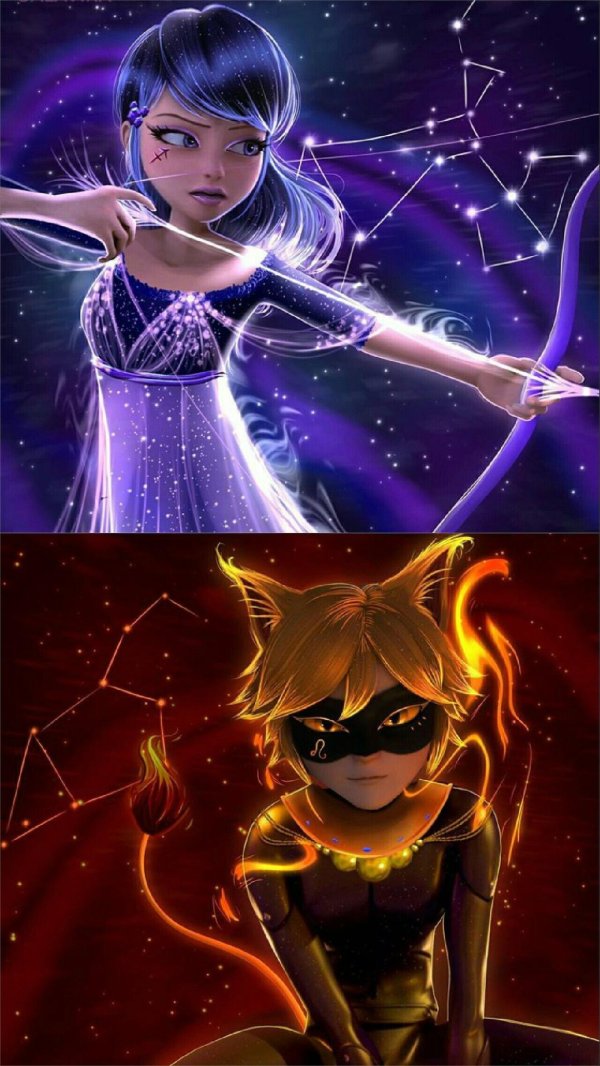 леди баки супер кот