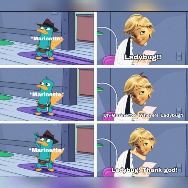 смешные мемы леди баг