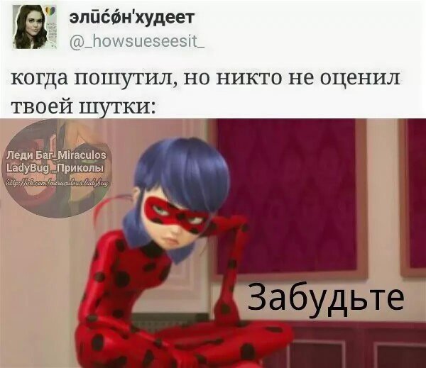 приколы леди баг
