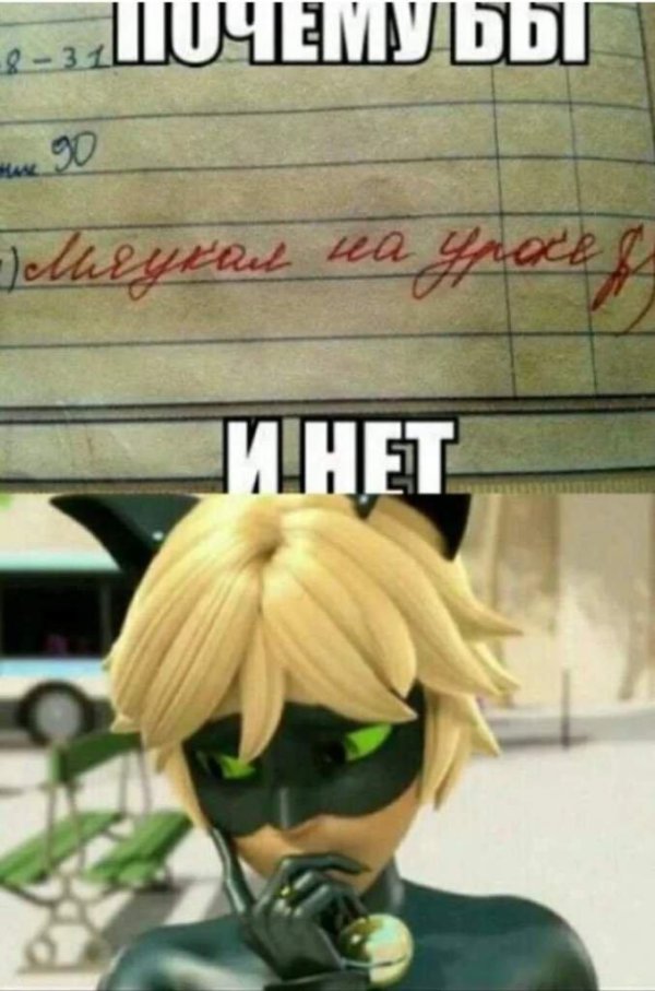 супер кот леди баг