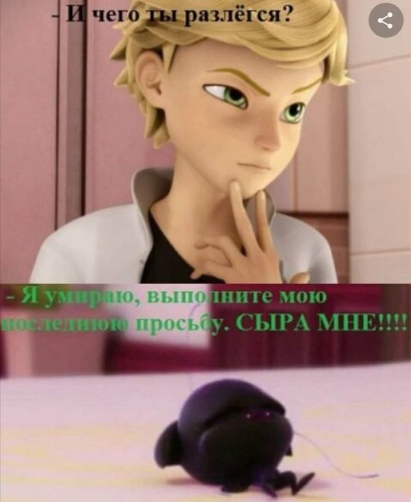 адриан агрест