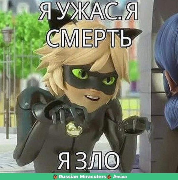 супер кот
