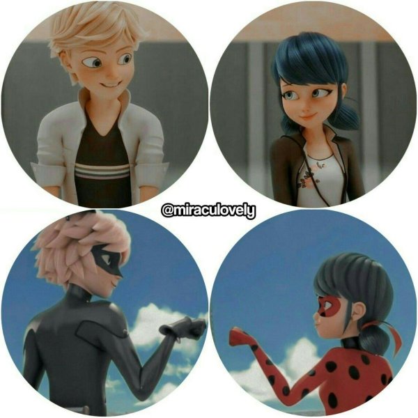 жильбер леви леди баг