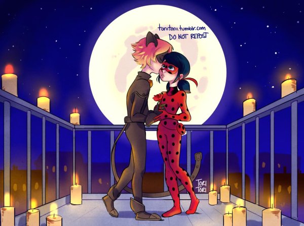 тори леди баг и супер кот