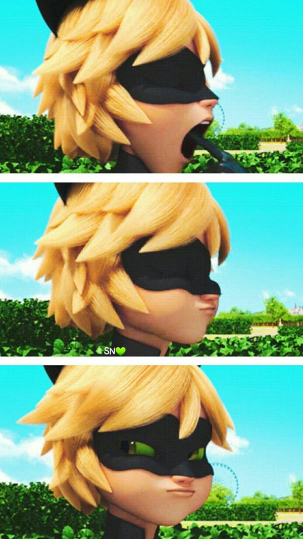 супер кот леди баг