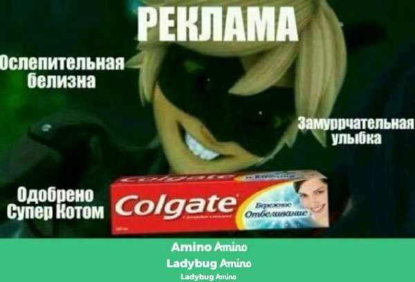 леди баг и супер кот смешные