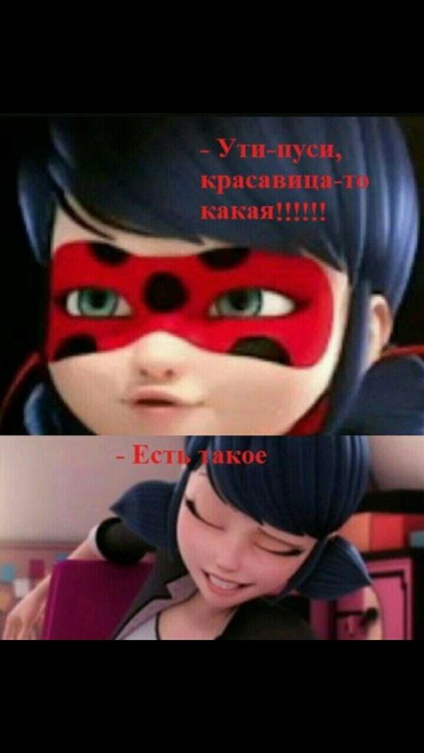 леди баг и супер кот смешные