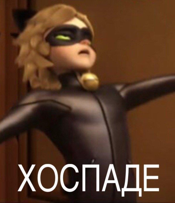 супер кот леди баг