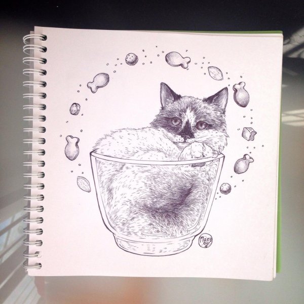 котики для скетчбука