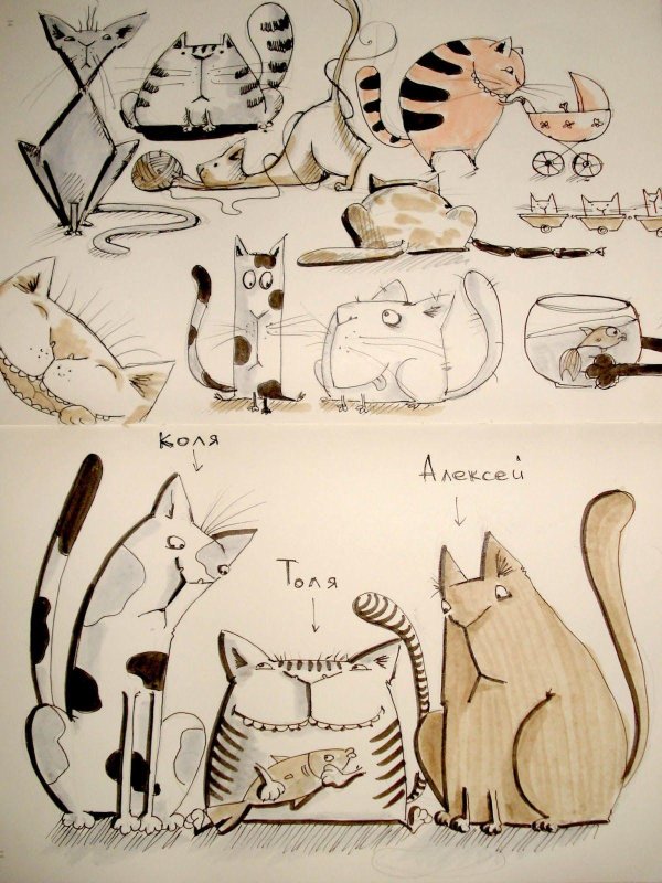 коты скетчи