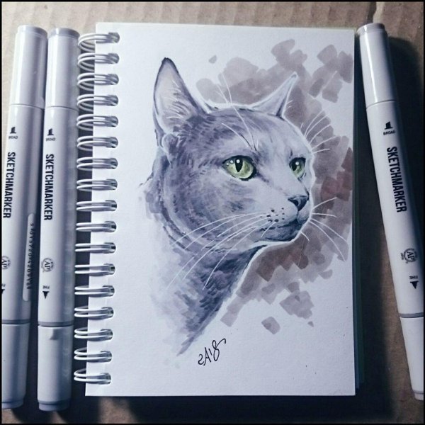 котик маркерами