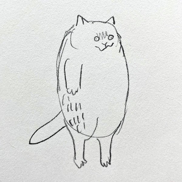 рисунки толстых котов