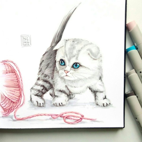 котики милые рисунки