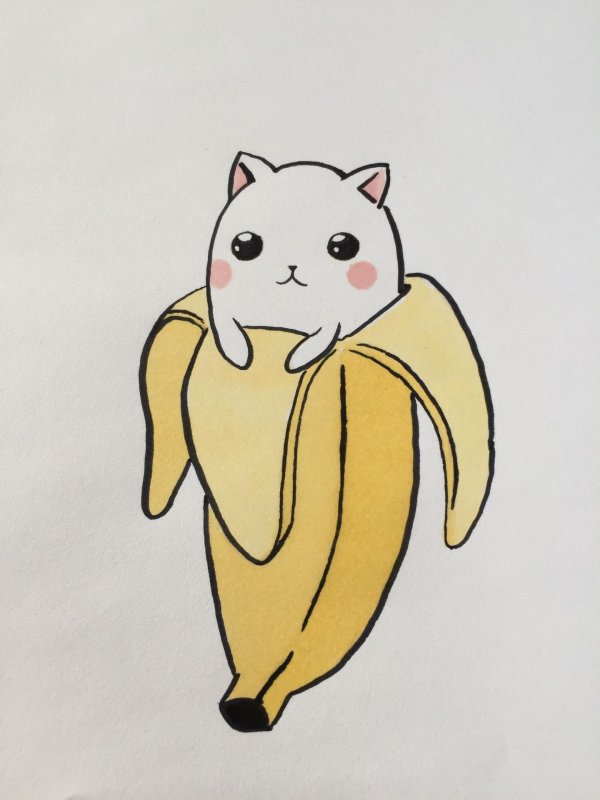 кот в банане