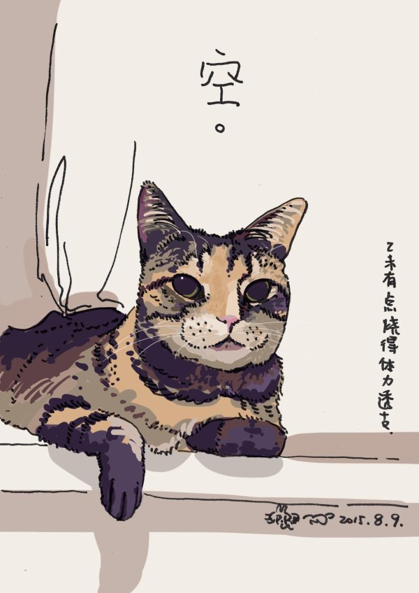 рисованные коты