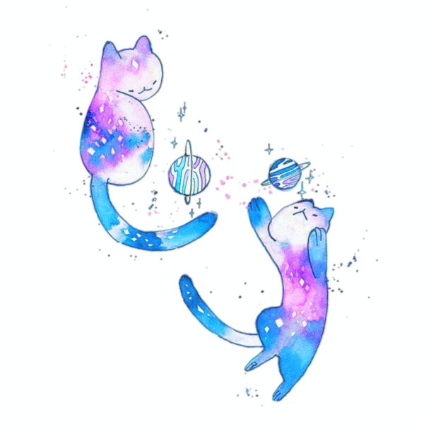 космический кот