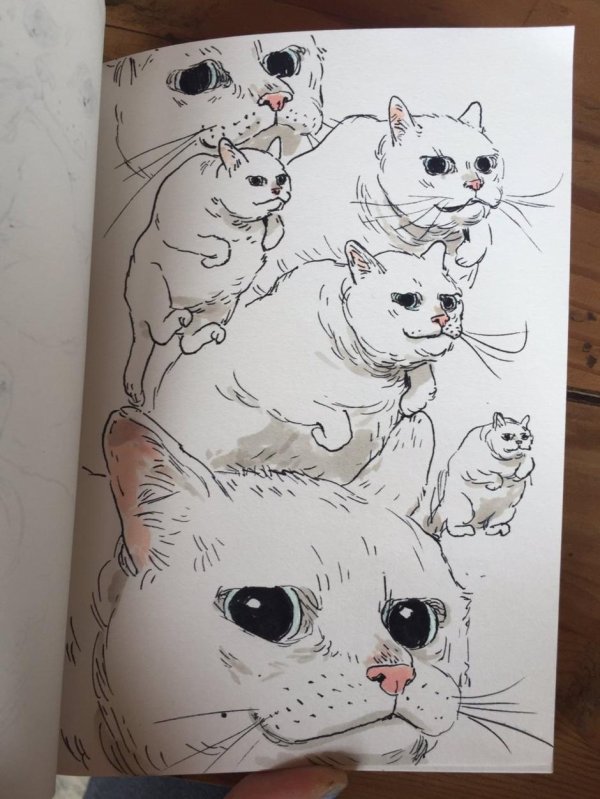 рисунок котик