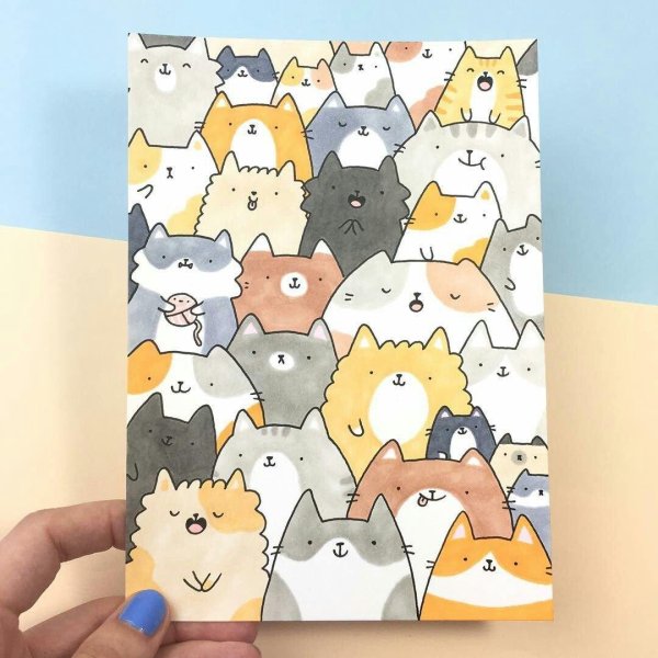 много котиков