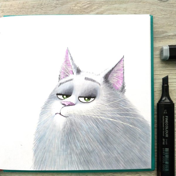 кошка хлоя