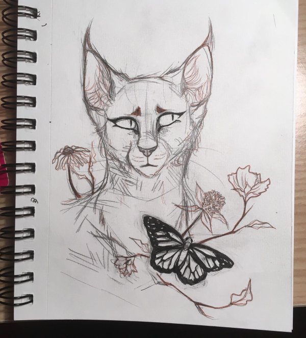 идеи для рисунков котов