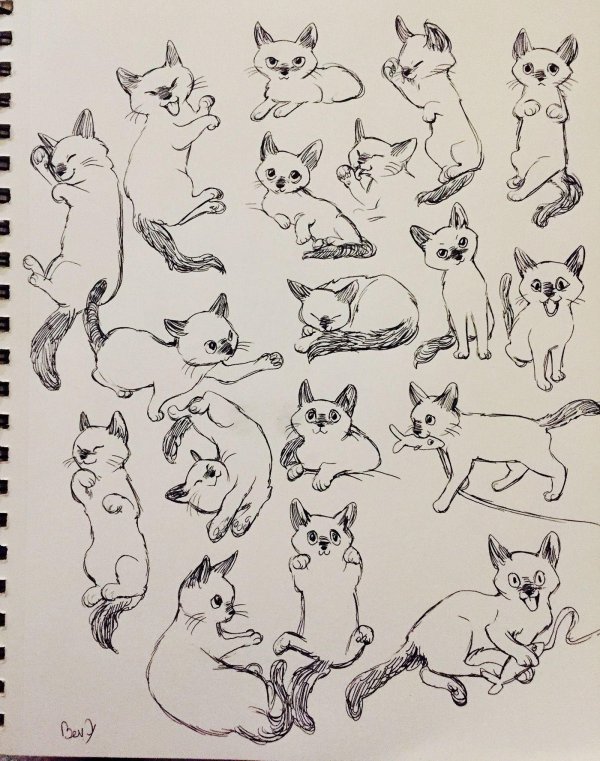 кошка скетч