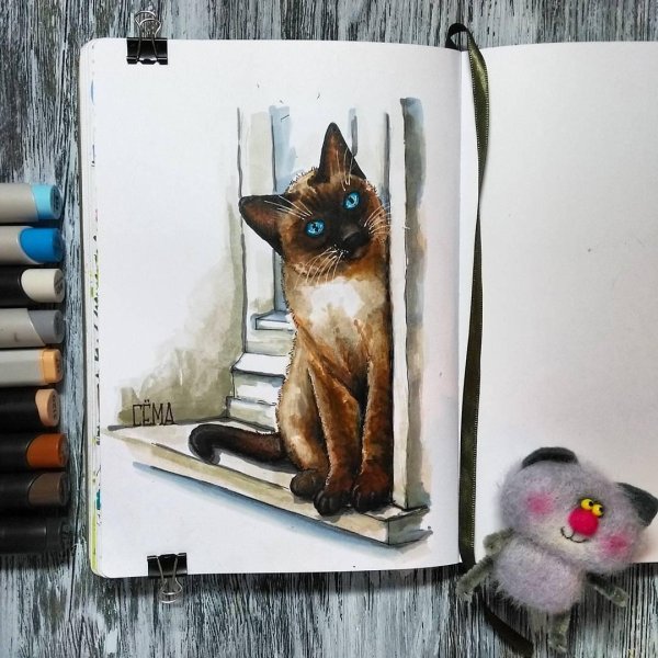 скетчинг животные