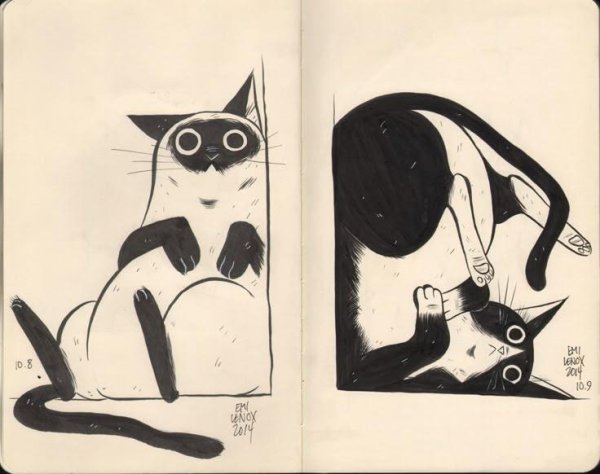 идеи для рисунков с котами