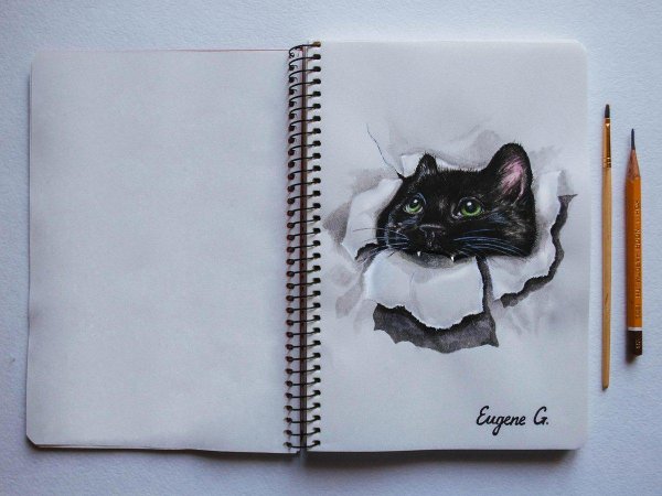 рисунки в скетчбуке кот