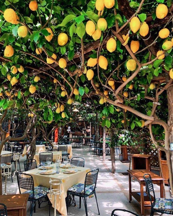 ресторан da paolino капри италия