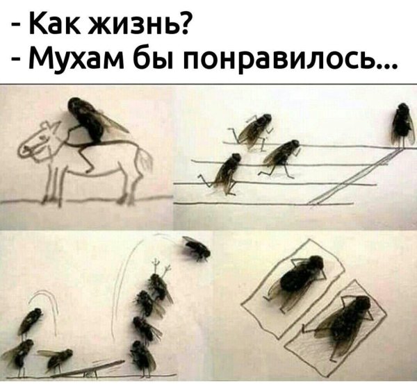 муха рисунки