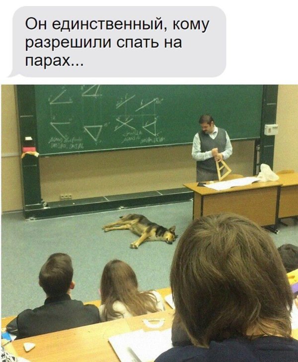 студенты на парах