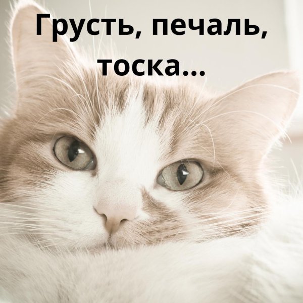 грусть печаль тоска