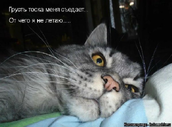 грусть печаль
