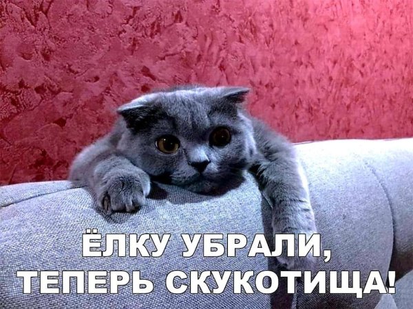 ёлку убрали теперь скукотища