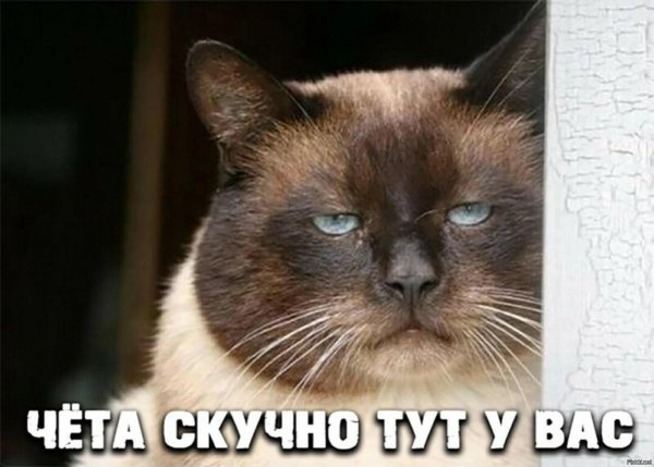 весело тут у вас